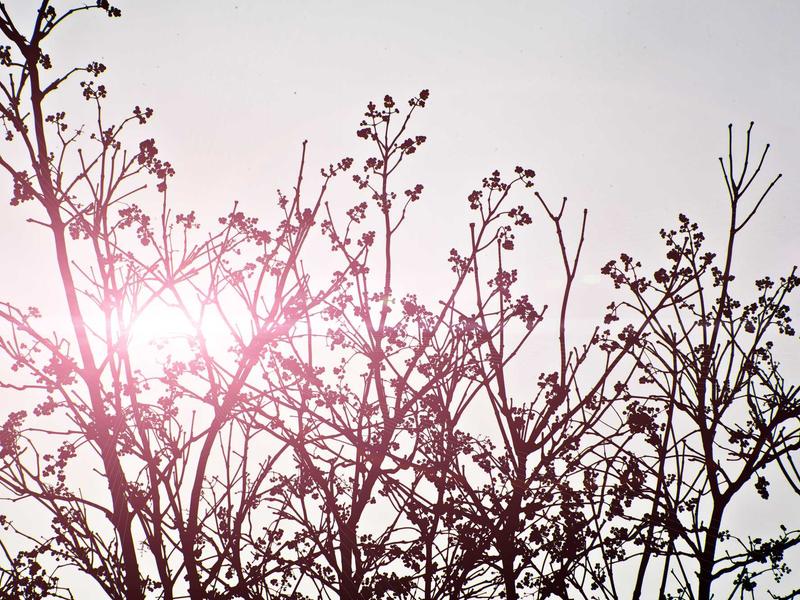 sudoku asymmetric puzzle screenshot 1